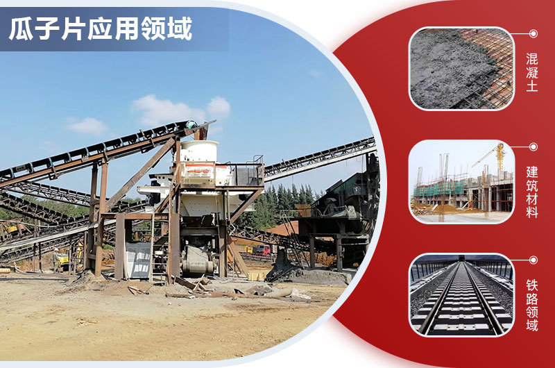 瓜子片應(yīng)用領(lǐng)域 瓜子片應(yīng)用領(lǐng)域